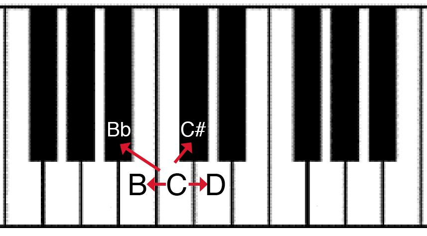 key board half and whole steps